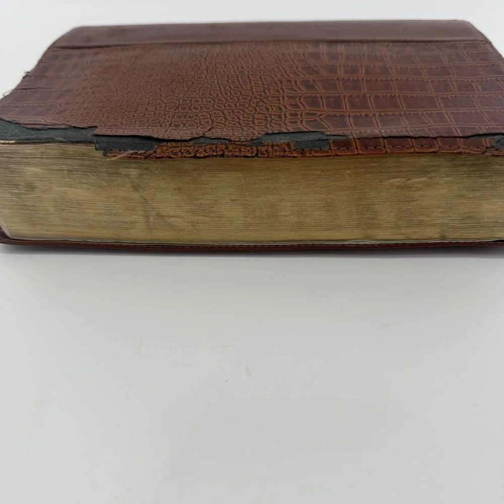 Life Application Study‎ Bible International Version Brown Crocodile Embossed